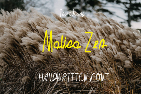 Malica Zen: A Sweet Handwritten Font