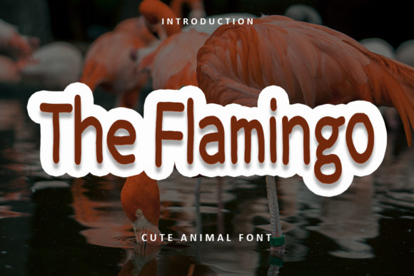 The Flamingo Font Review